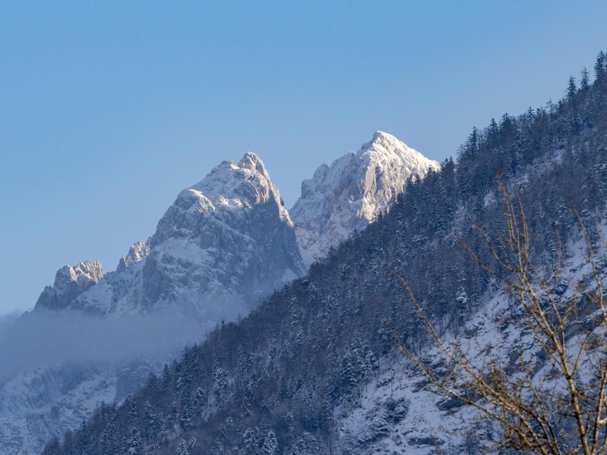 הוילה אבס Alpengasthof Veitenhof מראה חיצוני תמונה